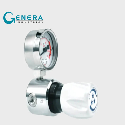 REGULADOR PARA PUESTO DE CONSUMO DE ALTA SERIE SLS20 DE 0-10 BAR BRCR